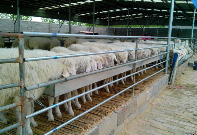 1123251497_1533873216215_title0h.png 1123251497_1533873216215_title0h.png