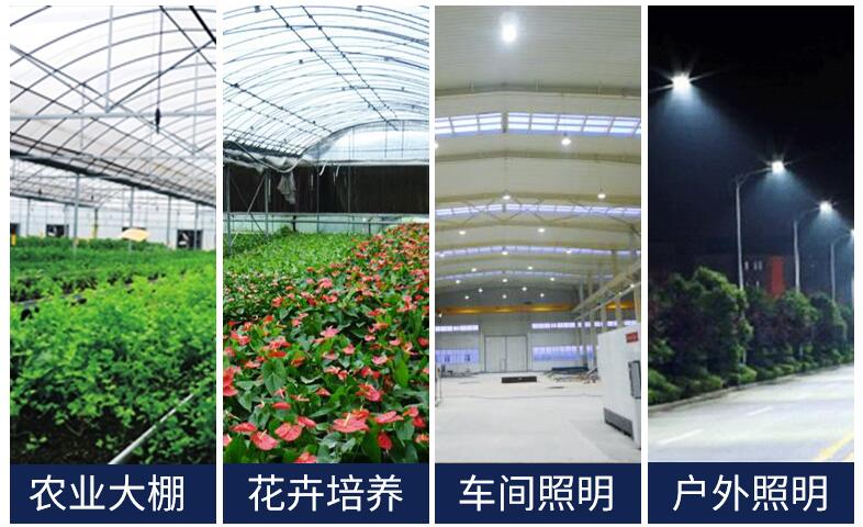 QQ截圖20200813110313.jpg QQ截圖20200813110313.jpg