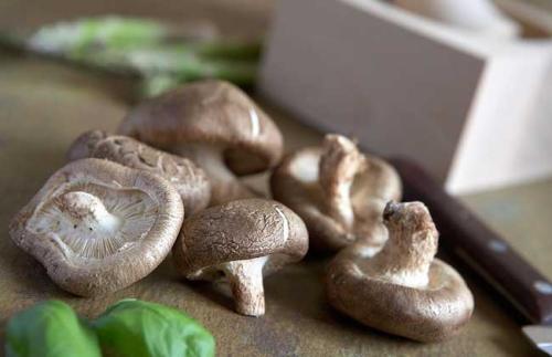 u=2043132909,3527131029&fm=26&gp=0.jpg u=2043132909,3527131029&fm=26&gp=0.jpg